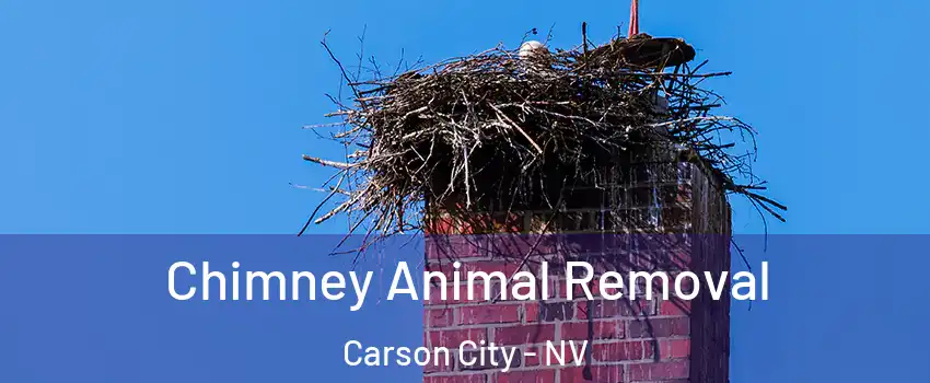 Chimney Animal Removal Carson City - NV