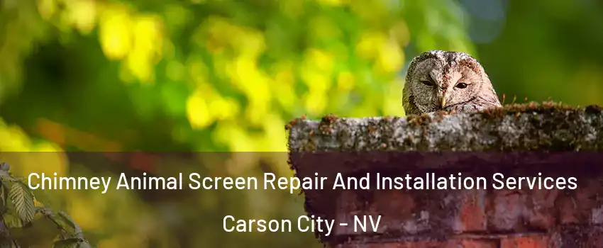  Chimney Animal Screen Repair And Installation Services Carson City - NV
