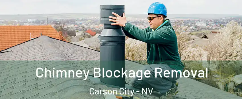  Chimney Blockage Removal Carson City - NV