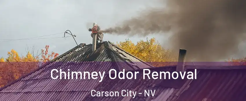  Chimney Odor Removal Carson City - NV