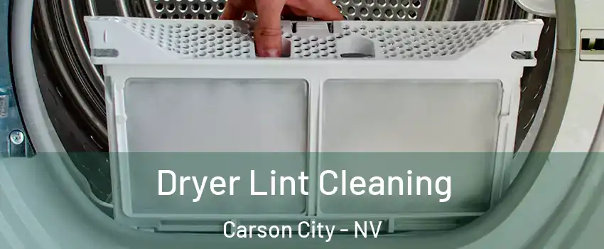  Dryer Lint Cleaning Carson City - NV