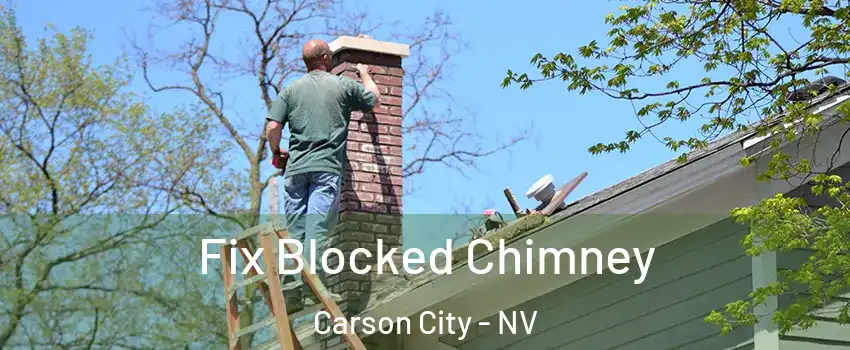  Fix Blocked Chimney Carson City - NV
