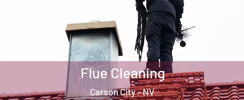  Flue Cleaning Carson City - NV