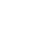 Professional Chimney Flue Installation in Carson City, Nevada
