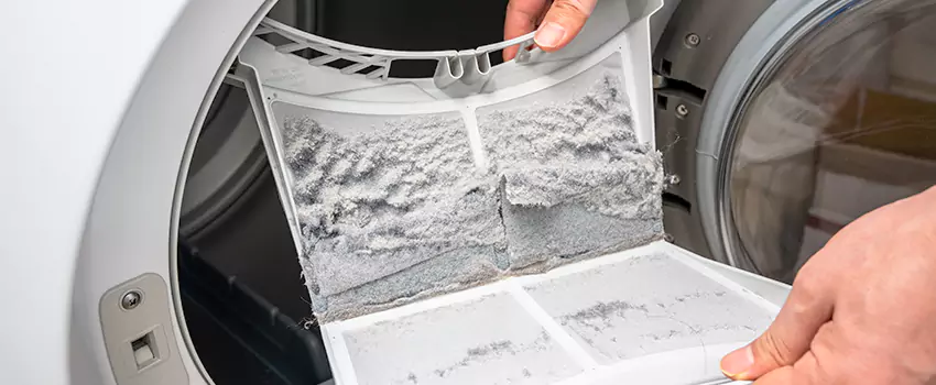 Best Dryer Lint Removal Company in Carson City, Nevada