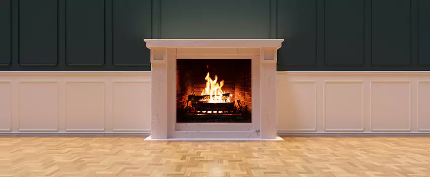 Napoleon Electric Fireplaces Inspection Service in Carson City, Nevada