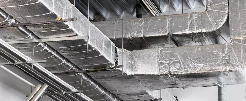 Vent Dust Cleaning Cost in Carson City, NV