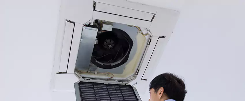 Benefits of Professional Air Duct Cleaning in Carson City, Nevada