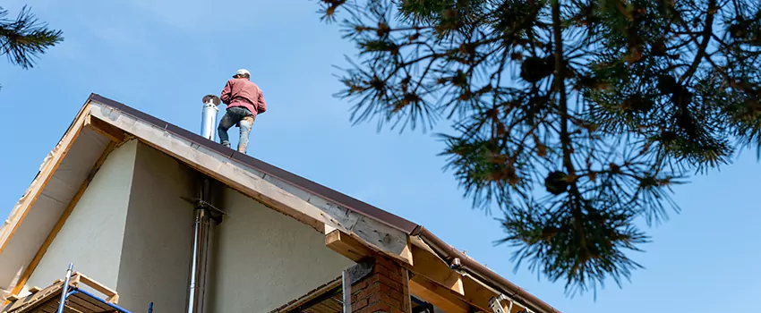 Birds Removal Contractors from Chimney in Carson City, NV