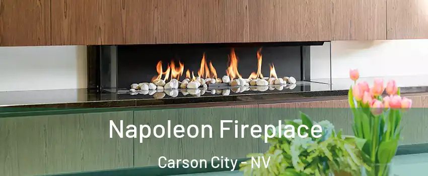  Napoleon Fireplace Carson City - NV